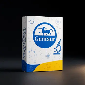 [FM-Next Swab-2] Gentaur Next Swab, 2-pack (1 Pack) - 1 Pack